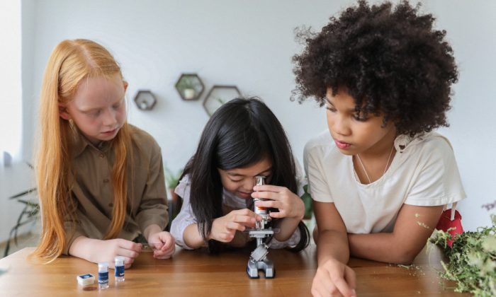 STEM meninas