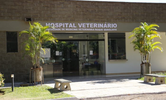 Clínica Unifio-residência veterinária_divulgação