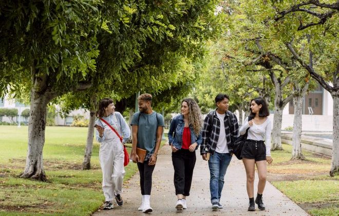 Diverse university students at campus in summertime