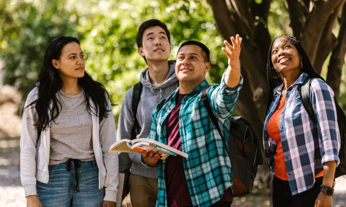 Motivação dos estudantes para ingressas no ensino superior