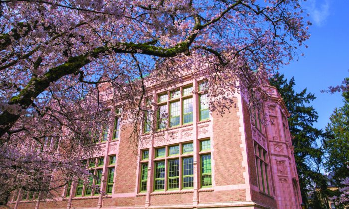 Universidade de Washington