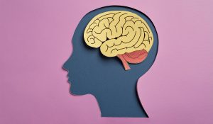 Neurociência